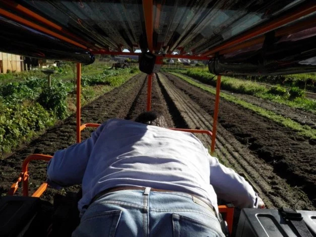 Inventor Brendan Corry demonstrating his Wunda Weeder