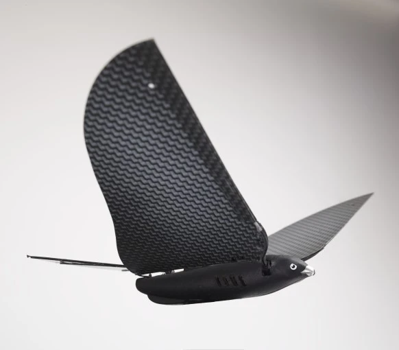 The tail of the bird can be adjusted for either faster outdoor flight or slower indoor flight
