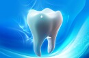 Scientists at Japan's Kyoto University and the University of Fukui have demonstrated how monoclonal antibody drugs can benefit tooth regeneration