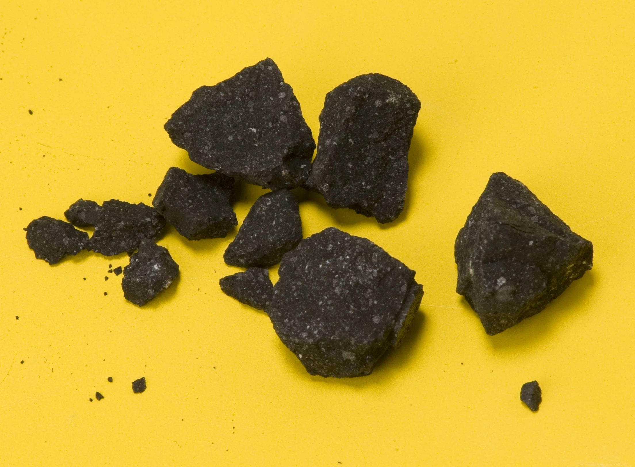 Fragments recovered from the Sutter's Mill meteorite fall (Photo: NASA)