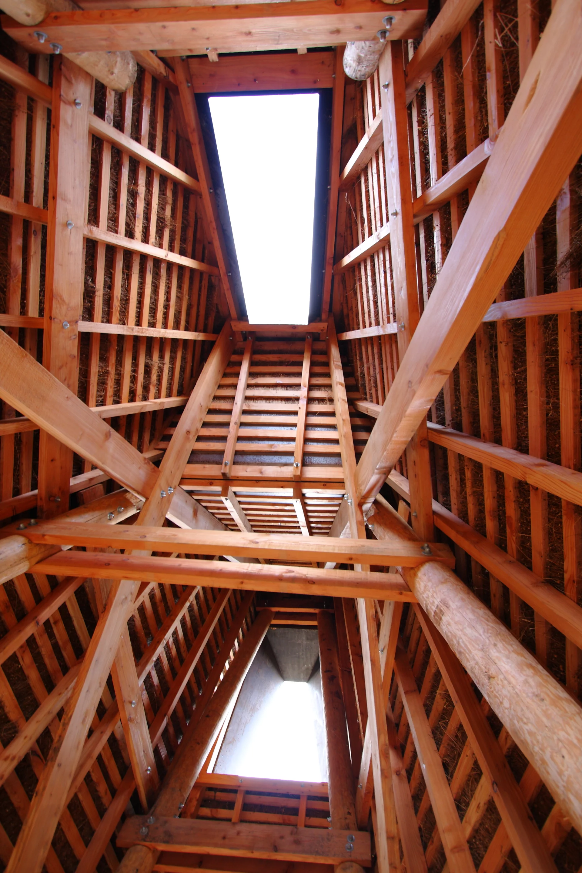 Inside Jeffry's House (Photo: Emily Mannion/Thomas O’Brien)