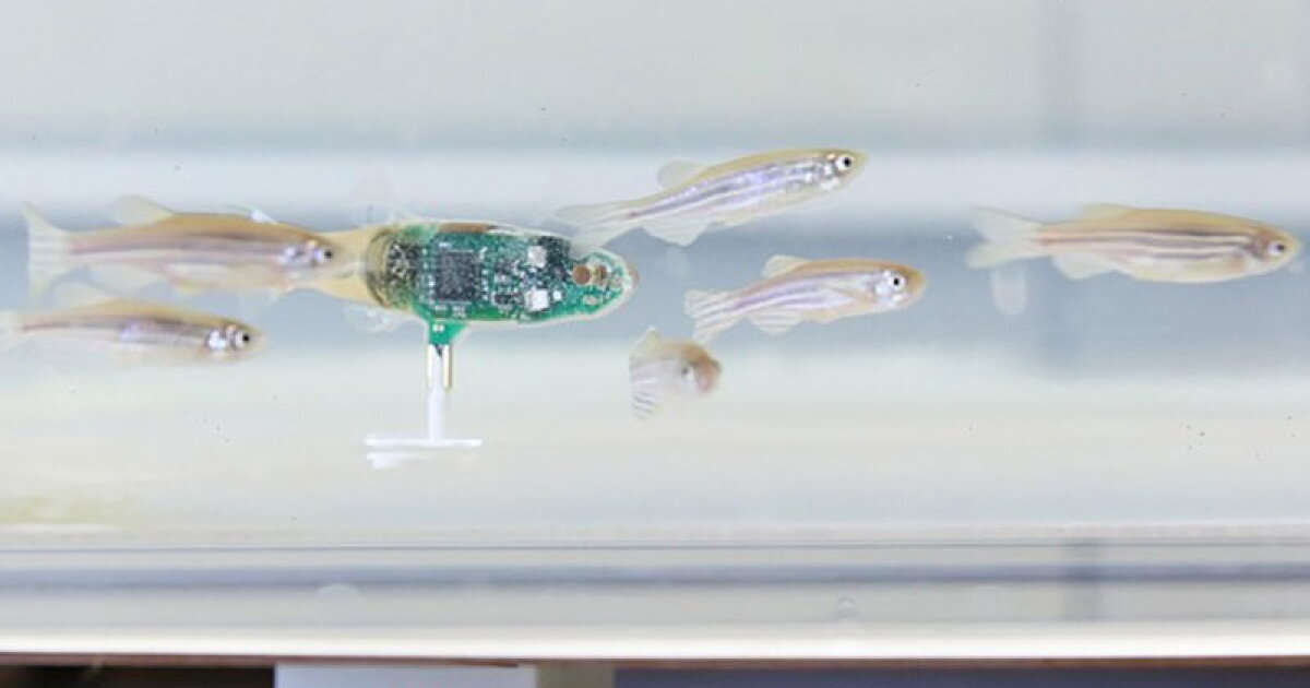 Techbro Fish Robot