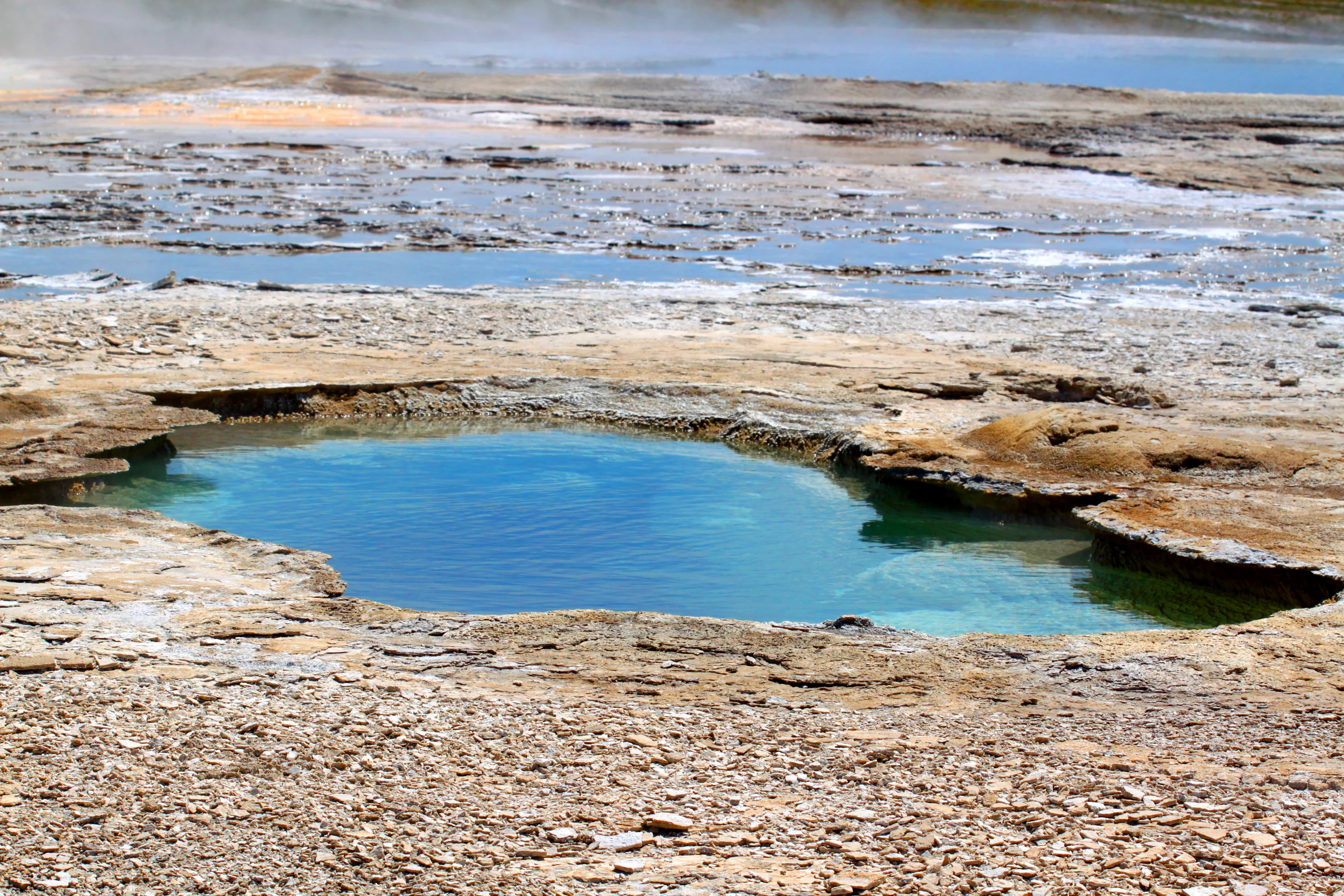 A new study gives more evidence that life got started in shallow ponds, not the deep ocean