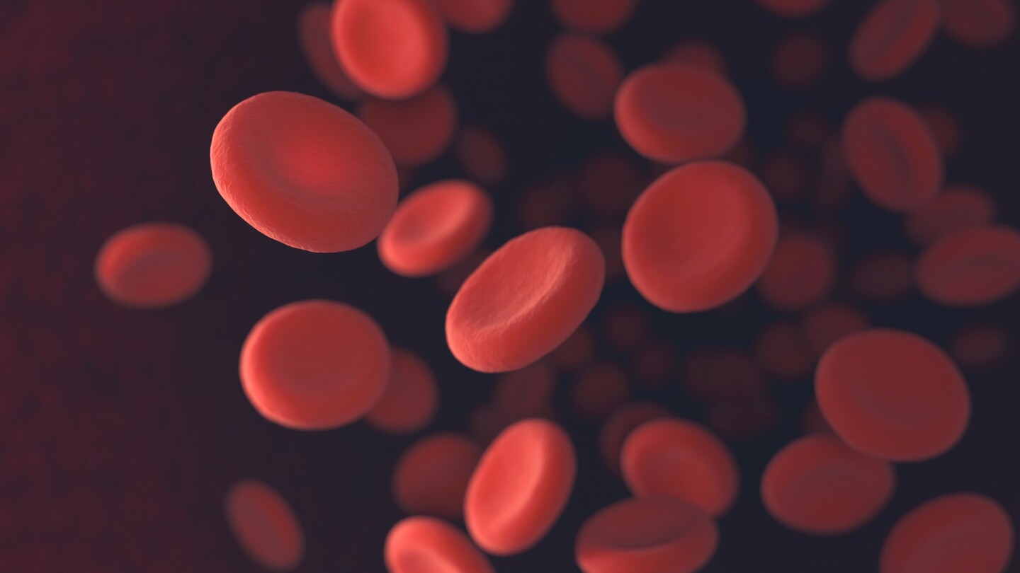 Blood-producing stem cells have been generated in a lab for the first time