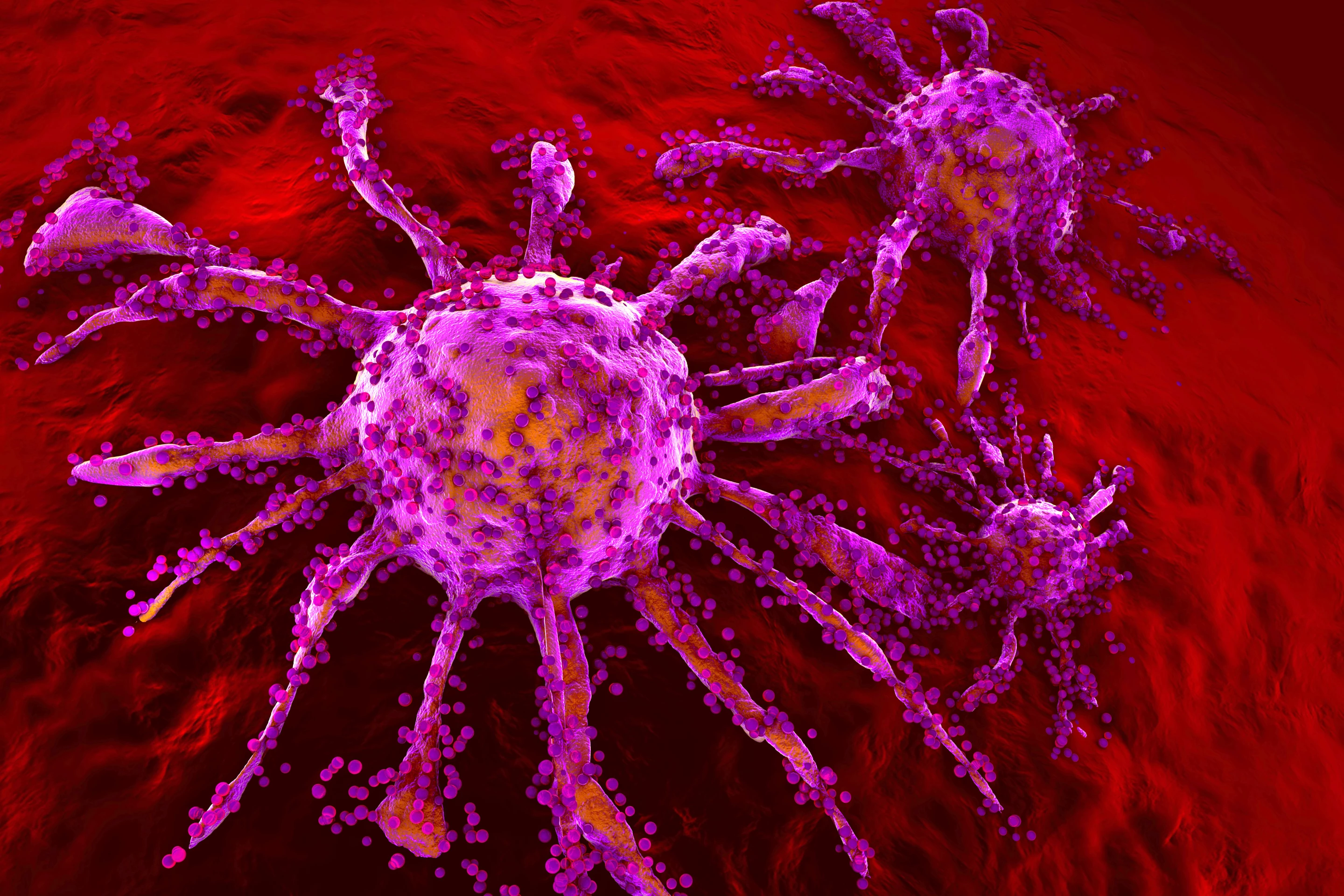 A new meta-analysis affirms prior study findings that indicate obesity is associated with increased risk of fatal prostate cancer