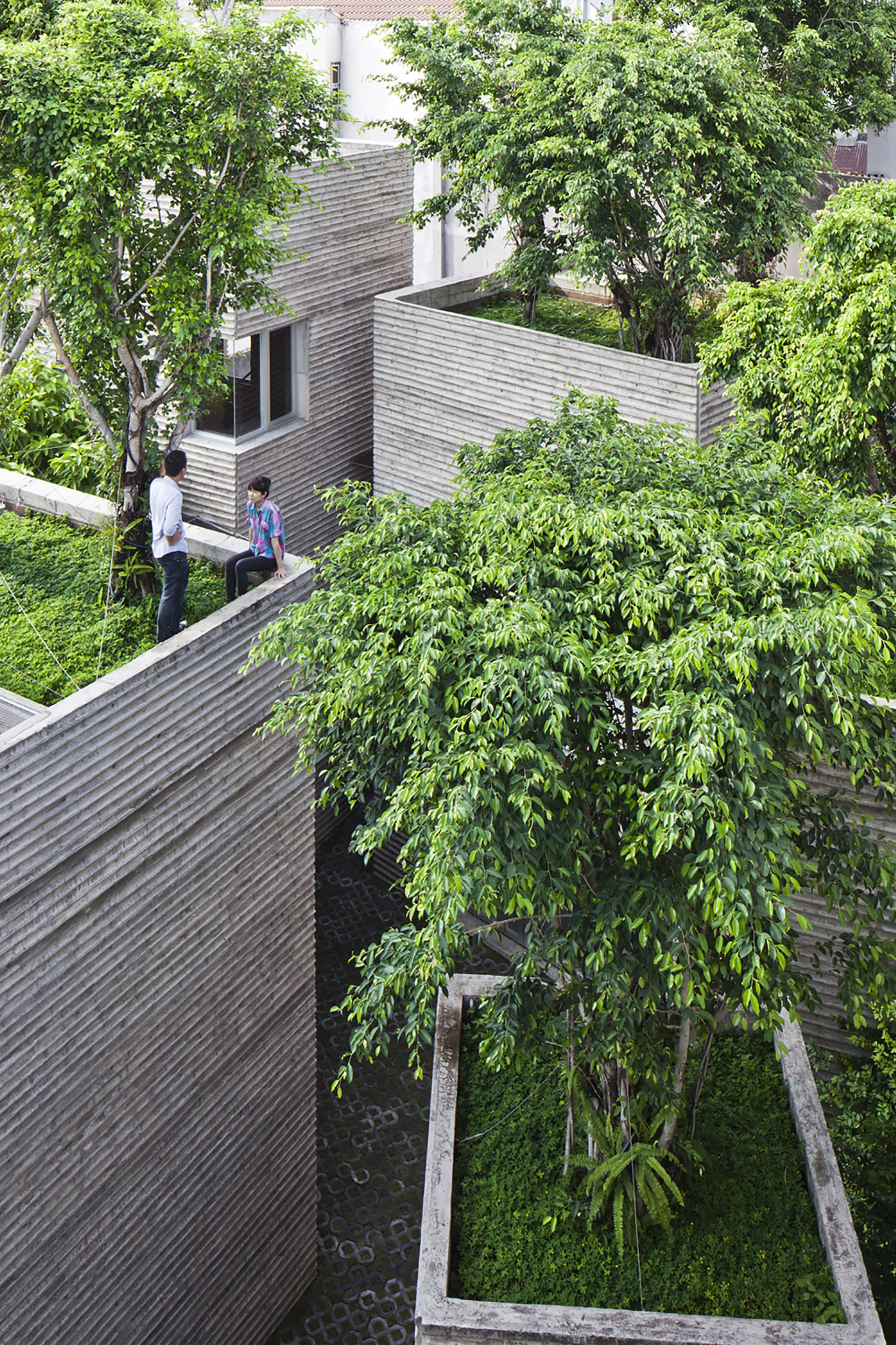 The recently-completed House for Trees was built for a total of US$156,000 (Photo: Hiroyuki Oki)