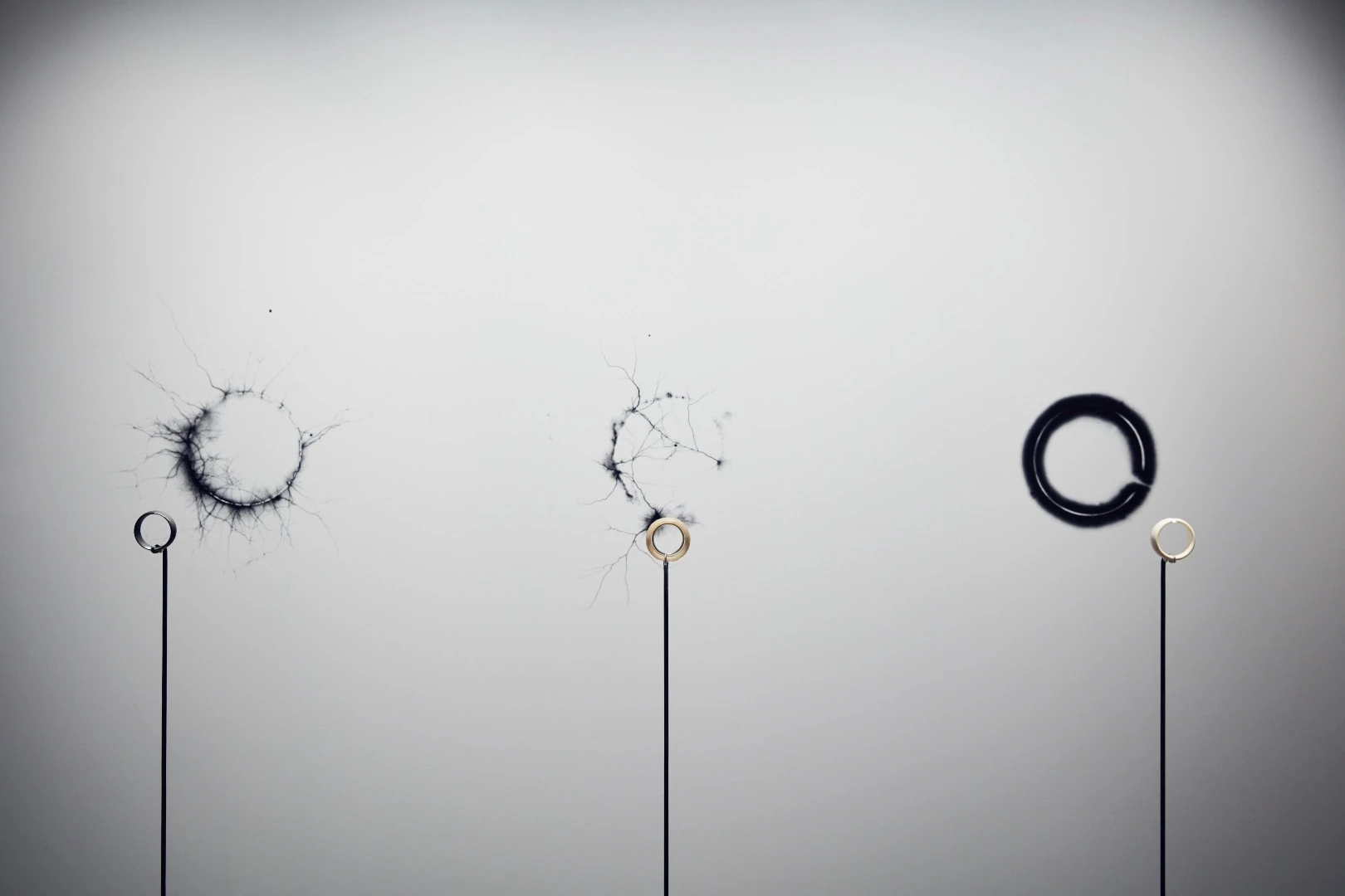 Installation image of Sean O’Connell Material studies: Spark rings 2015 on display in NGV Triennial at NGV International, 2017. Here O'Connell bombarded rings made of different materials with electricity and using photographic paper created these images displaying how the energy traveled out of each material