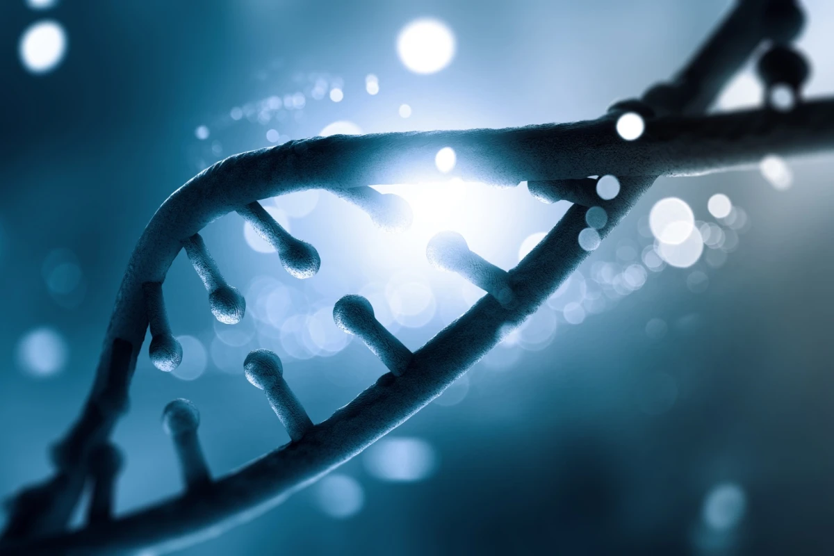 Intriguing results suggest a retrovirus increases expression of a gene that makes individuals more disposed to addictive behavior