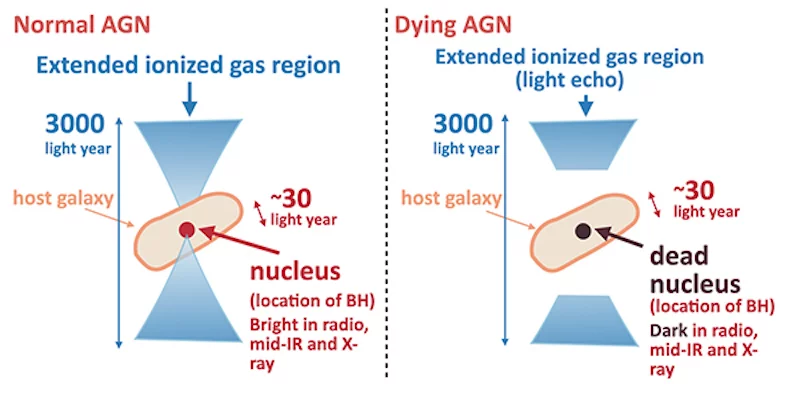 A diagram comparing a normal active galactic nucleus (AGN) (left) with the anomalous Arp 187 (right), which seems to be dying