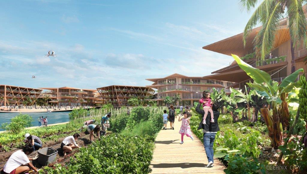 Oceanix City would include neighborhoods with buildings made from bamboo