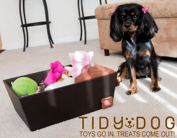 Tidy Dog is designed to dispense treats when a dog puts away its toys