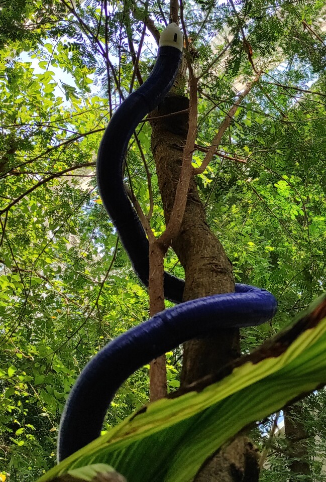 The FiloBot takes to the trees