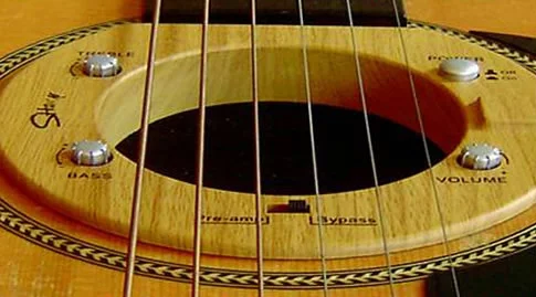 The SHamp fits in the sound hole of most acoustic guitars