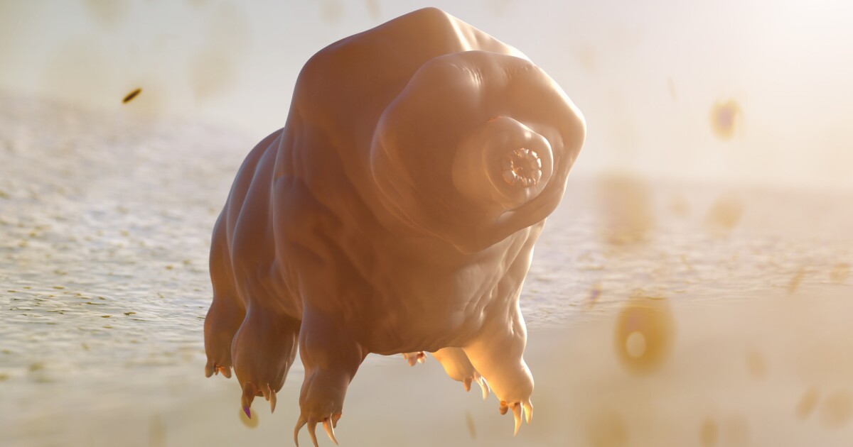 Tardigrade Tales: The toughest critters on the planet