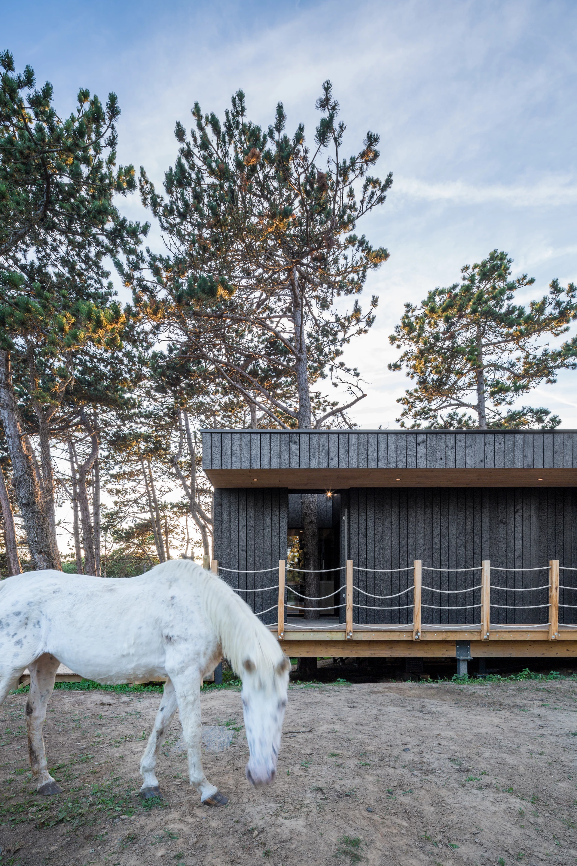 Treehouse is located in Brittany, France
