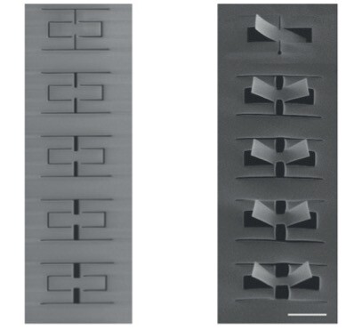 A new kirigami-inspired engineering technique allows scientists to create a range of folding, twisting and bending materials