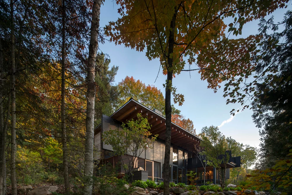 The Bear Stand Home in Ontario, Canada, by Bohlin Cywinski Jackson offers a forest getaway for a family in Shanghai. A winner under the "Private Homes" category of the 2018 International Architecture Awards