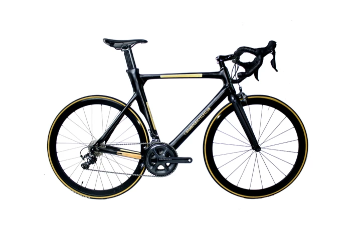 The Aero Bamboo Bike looks more as if it's made from carbon fiber