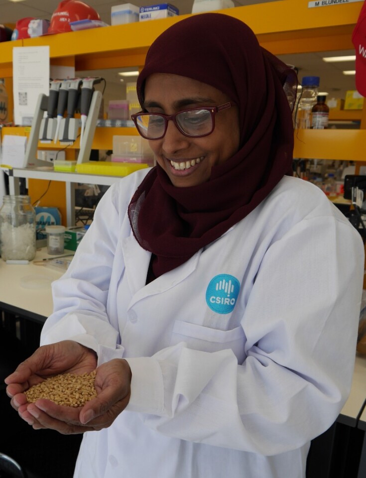 Dr. Ahmed Regina with some of the high-fiber grain