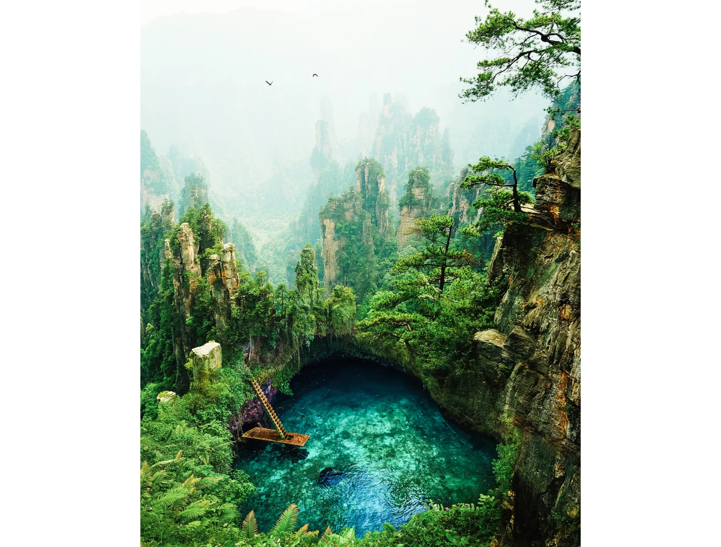 Paradise (Credit: Justin Peters CC BY-NC-ND 4.0)