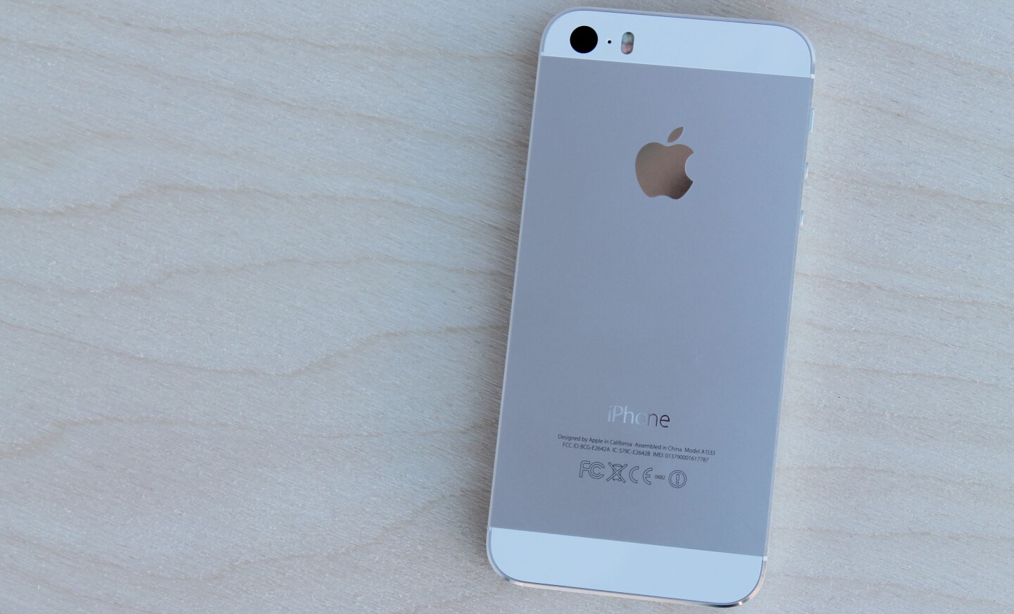 The back of the iPhone 5s