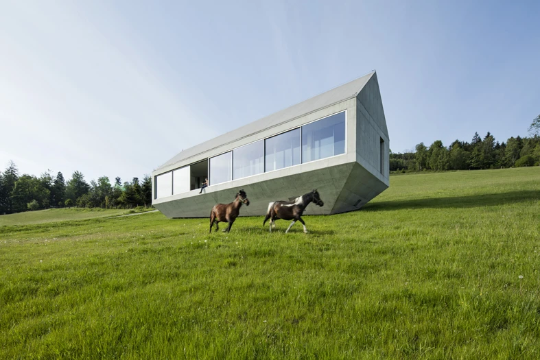 Only one corner of Konieczny's Ark touches the ground