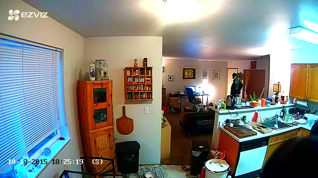 The Ezviz Mini camera has 115-degree coverage, so it can handle a small flat