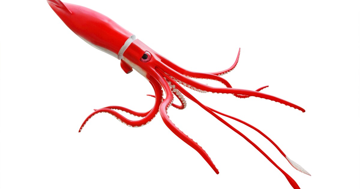 Squid skin inspires versatile new "tunable" insulating material