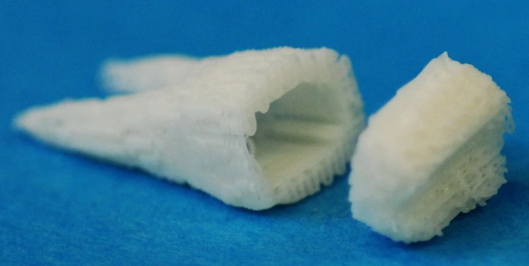 Dr. Mao's microchannelled scaffold