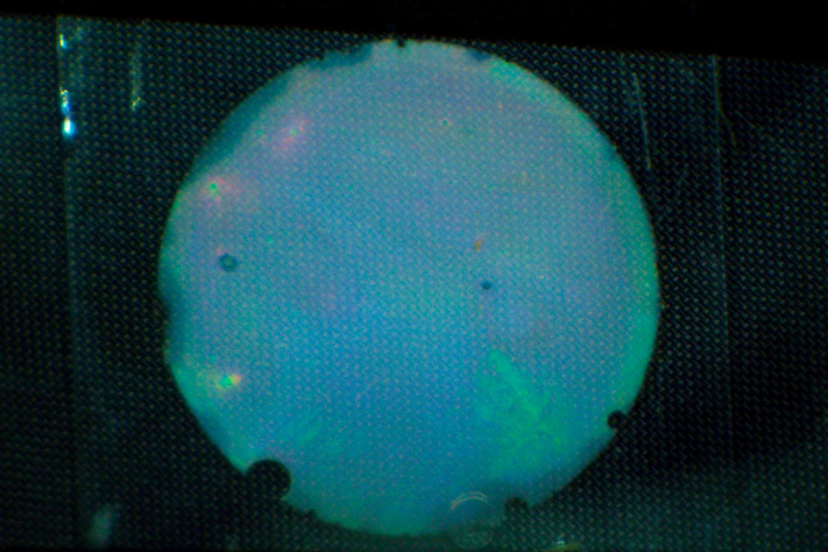 A sample of the hydrogel turns from blue to green to red, as it takes up glucose