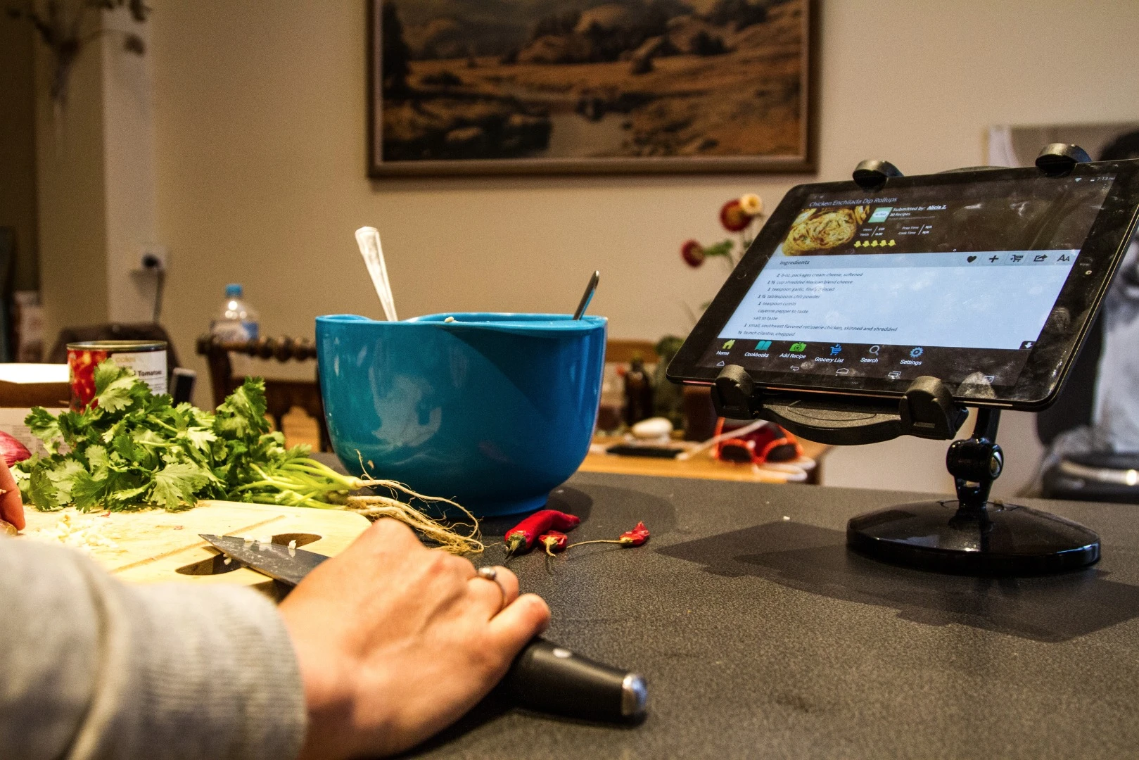 Our numerous forays into the kitchen with the Recipe Reader HD+ brought us some delicious and wholesome meals