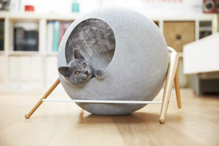 Meyou's feline furniture line currently comprises just three cat beds, though more are planned for the future