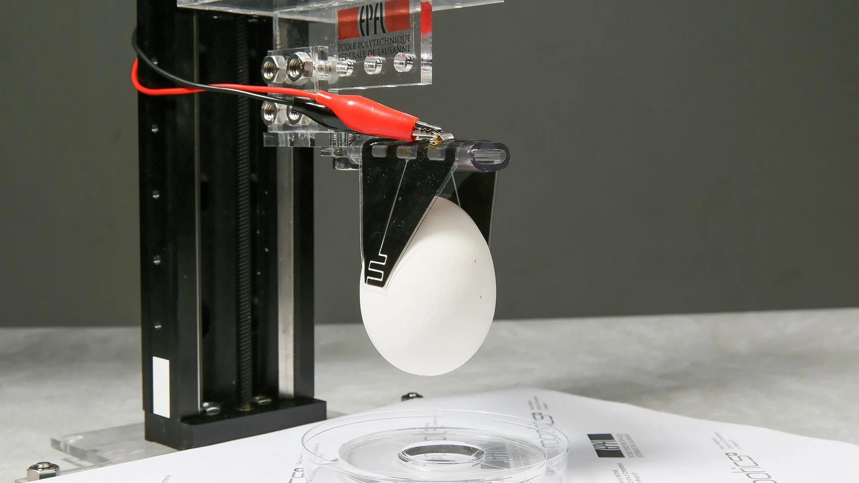The robotic gripper can carry items 80 times its own weight