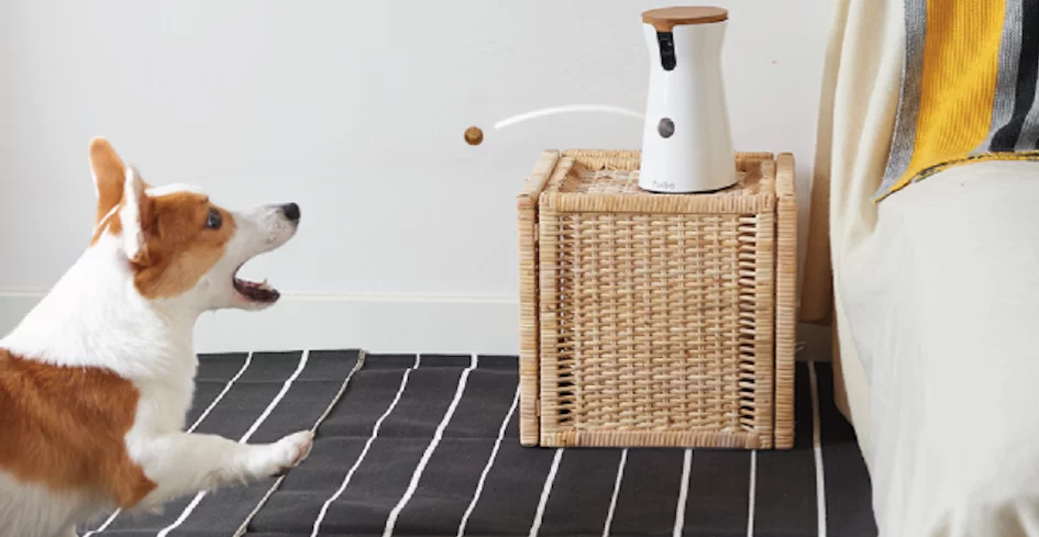 Furbo lets you feed and talk to your dog remotely