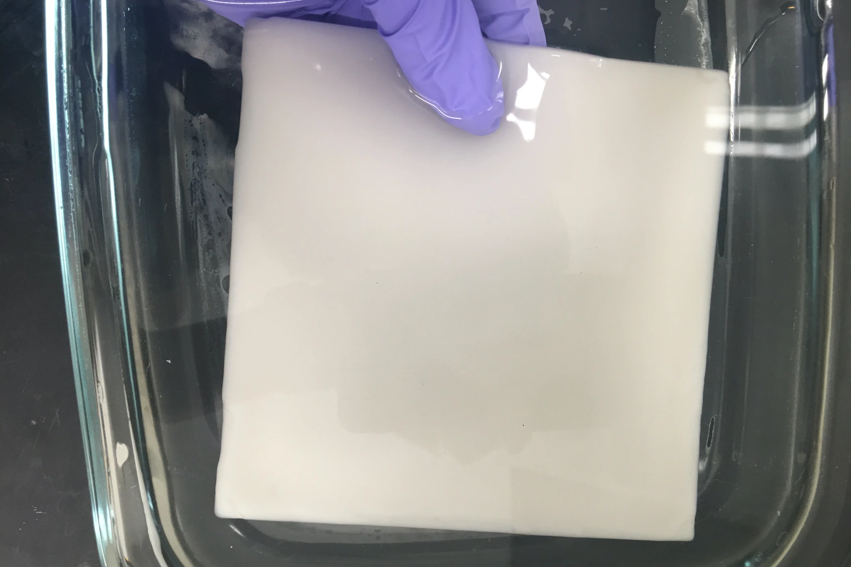 The loofah hydrogel could be used to purify water in impoverished regions, or at disaster sites