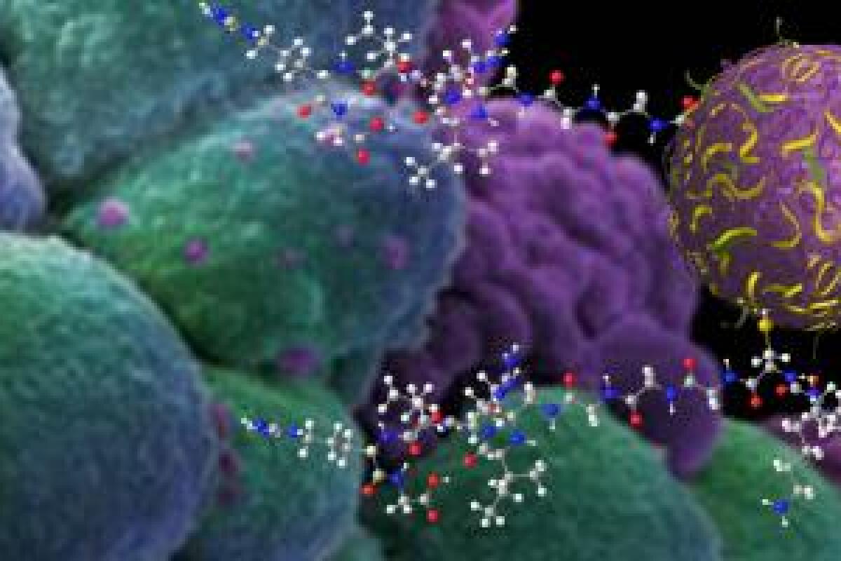 Nanosponge drug delivery claimed to work better than direct injection on tumors