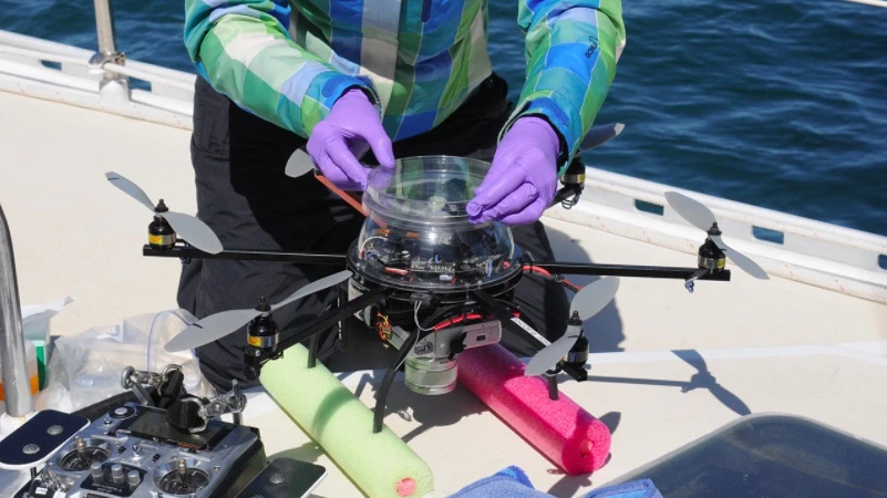 Carrying a sterilized petri dish on top, the drone was flown directly into the blow of numerous healthy humpback whales