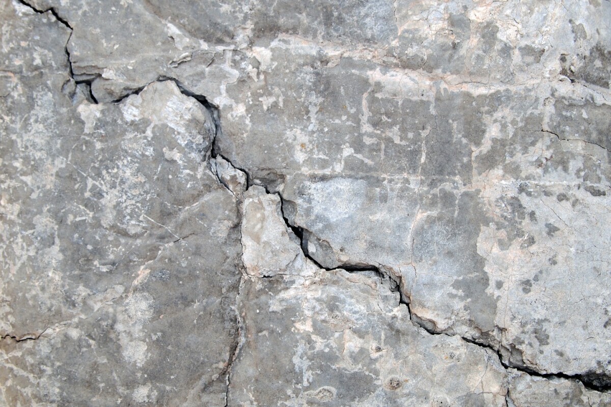 The concrete contains a fungus that produces calcium carbonate when exposed to water and oxygen