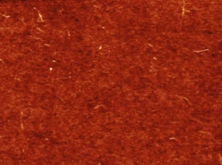 An atomic-force microscope image of a layer of single-walled carbon nanotubes deposited on a silicon surface, which is the first step in manufacturing the new solar cell