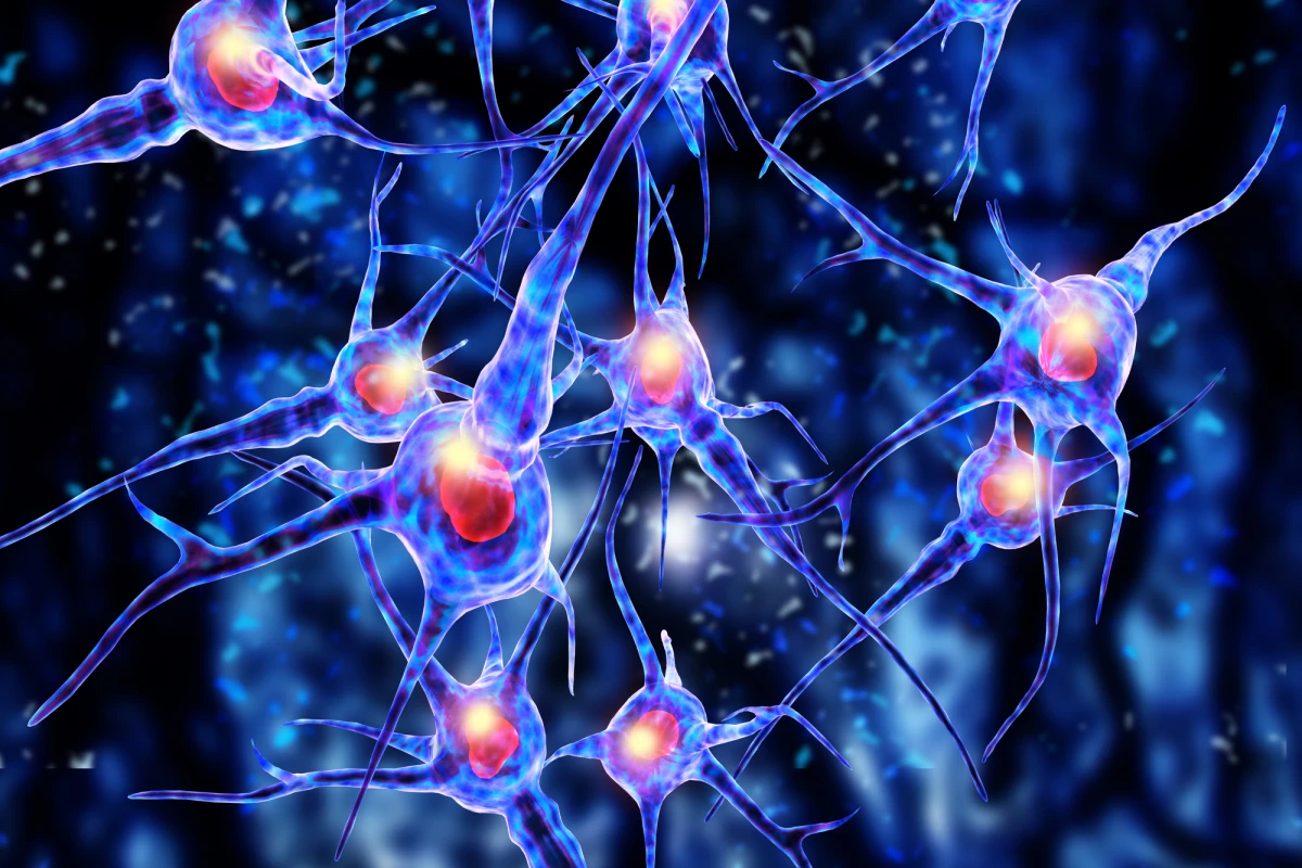 New research presents a novel mechanism that could help explain how viral infections lead to neurodegenerative disease