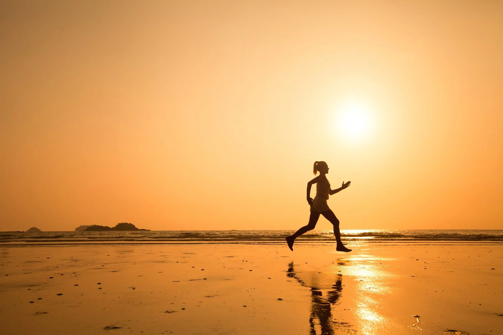 Using the Unplugged Powered Suit, disabled or elderly wearers could jog with less effort