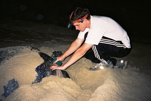 Earthwatch's "Trinidad's Leatherback Sea Turtles" expedition (Photo: Kim Coyne)