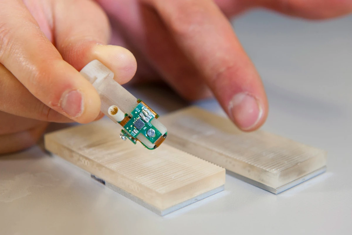 The bionic fingertip, and its natural counterpart