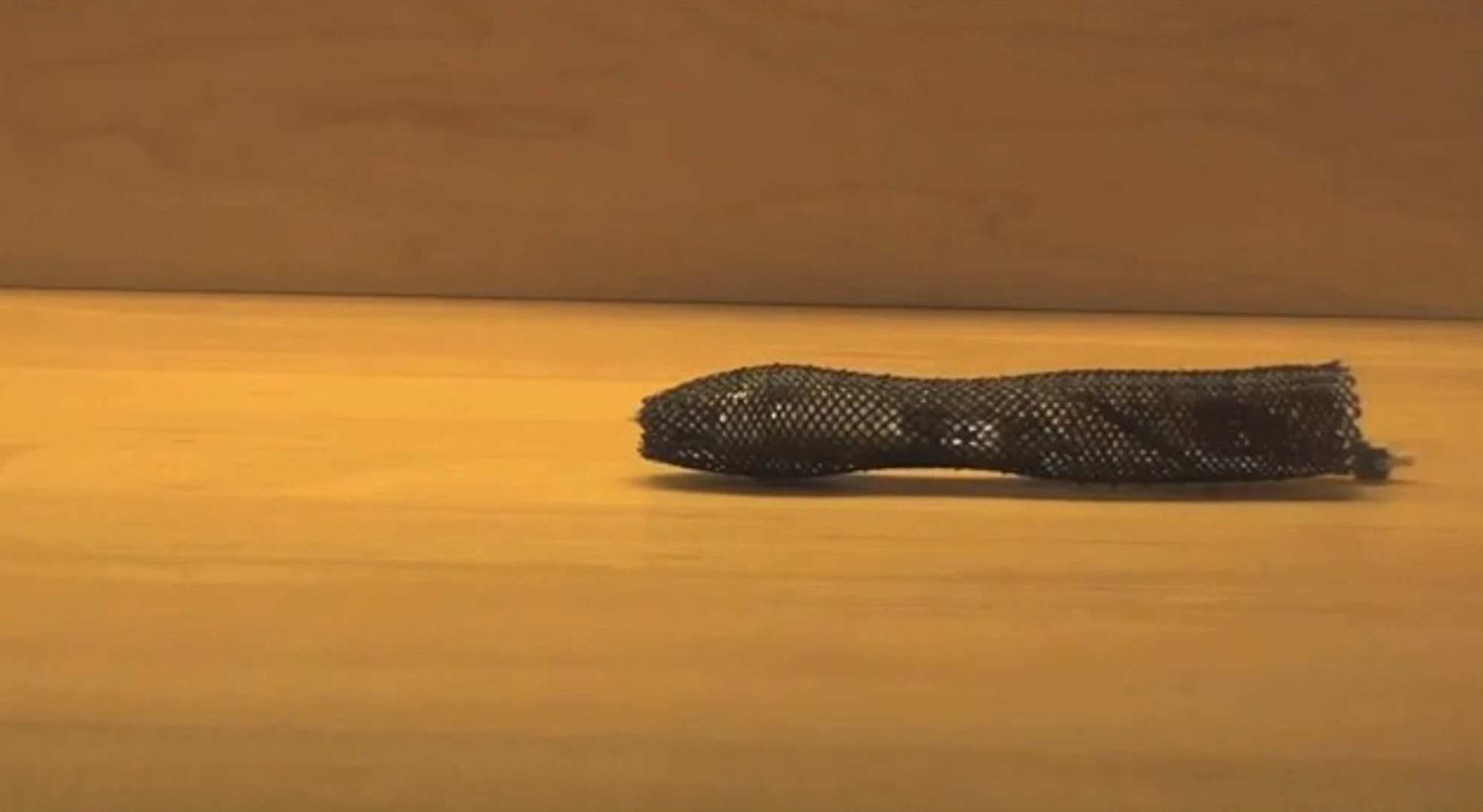 Meshworm imitates to movements of an earthworm (Photo: MIT)