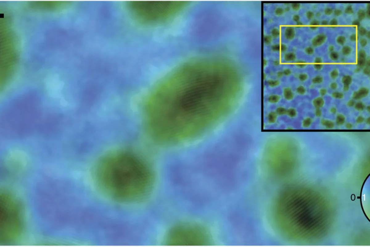A ptychographic reconstruction of gold particles showing the atomic fringes (Image: University of Sheffield)
