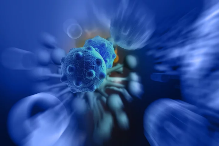 A new study has revealed fat cells secrete molecules that can trigger the transformation of melanoma into its aggressive metastatic form