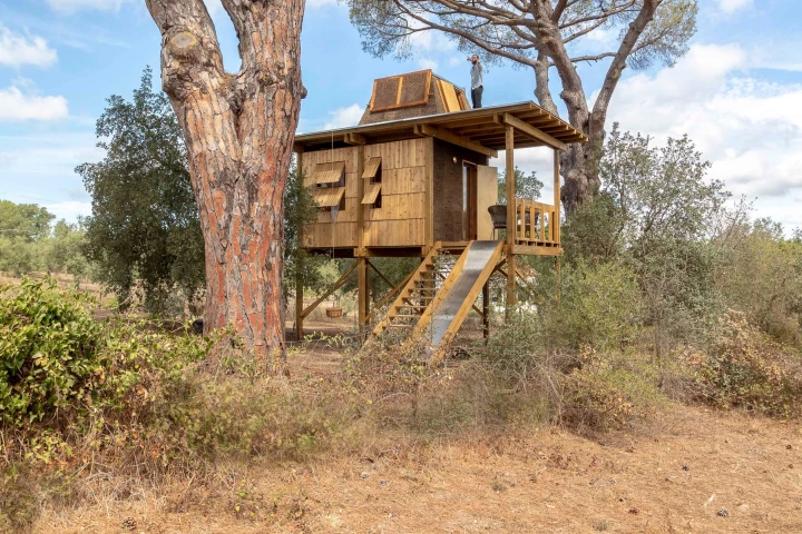 The Columba is situated in a rural area of Portugal, between two old pine trees which provide shade