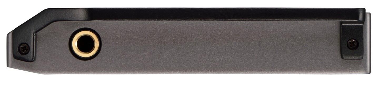 Pioneer XDP-100R-K audio jack