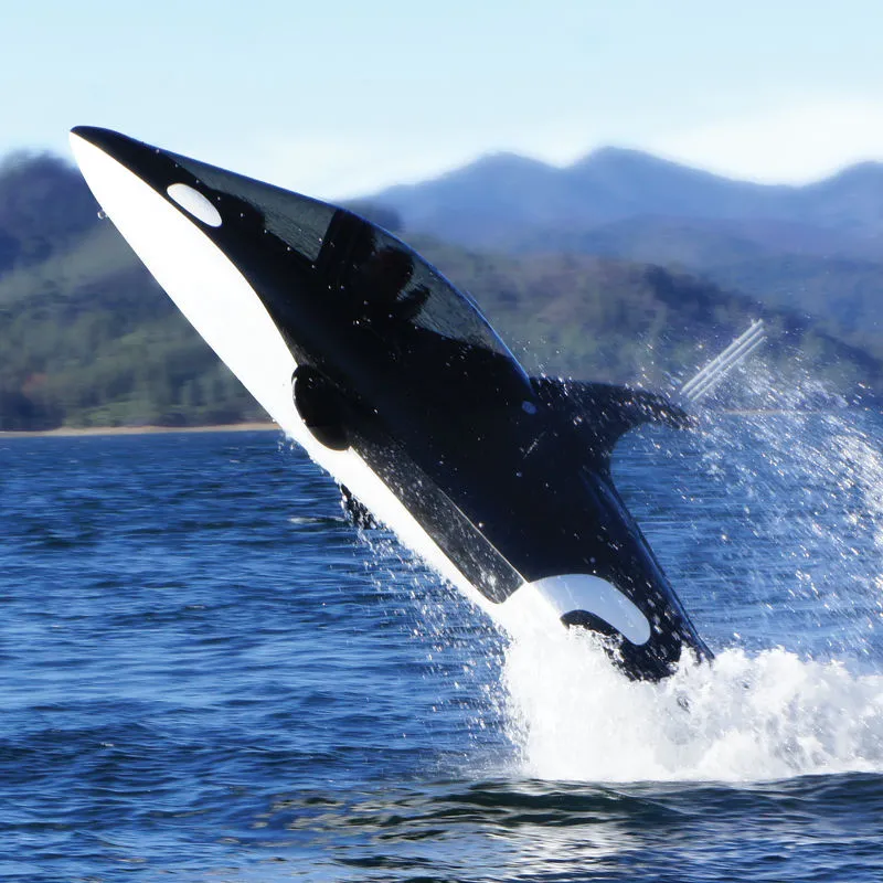The Seabreacher Y can jump up to 12 feet out of the water (Photo: Hammacher Schlemmer)