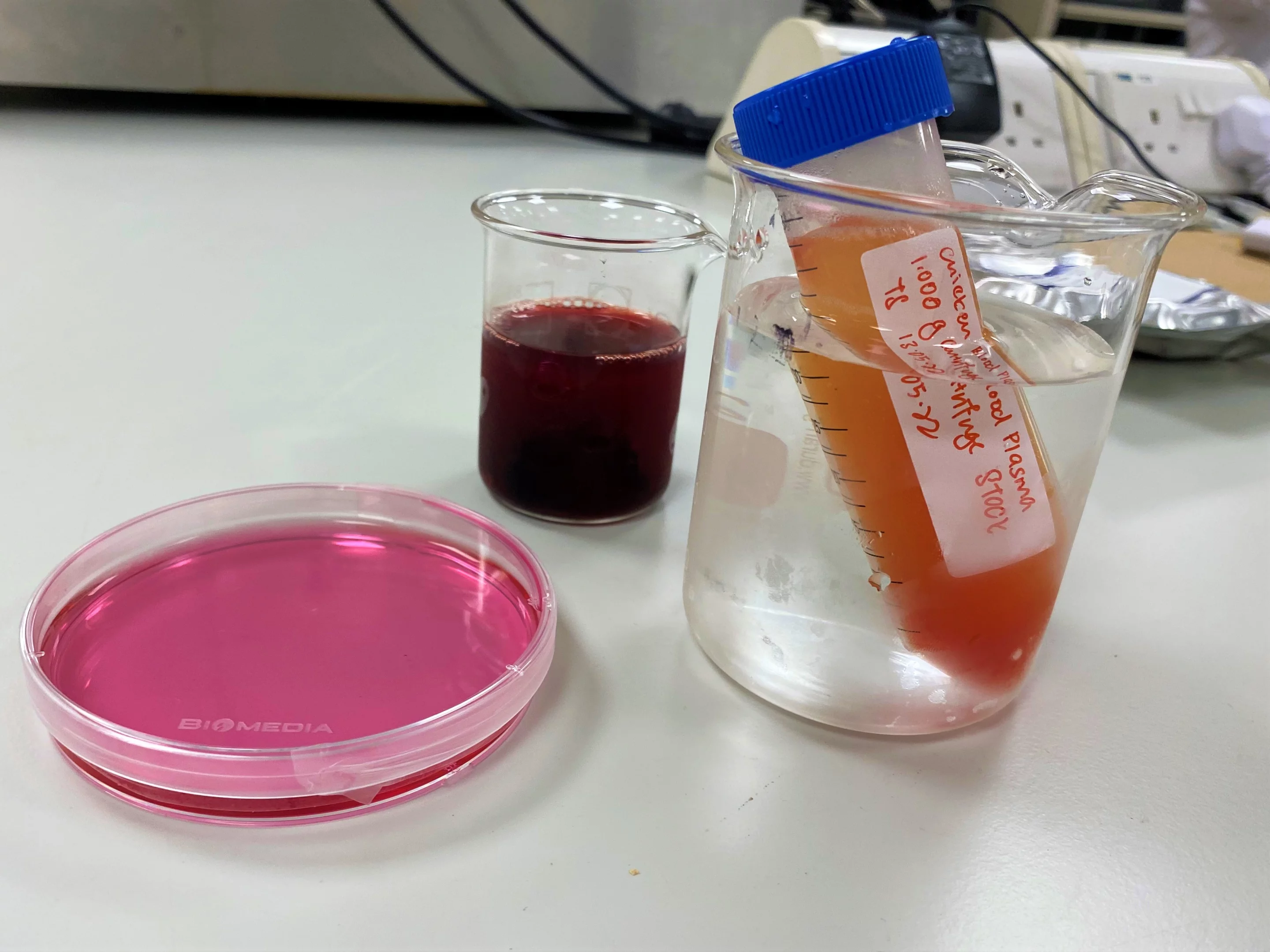 A cell culture medium (left) made from a serum (right) obtained from chicken blood (middle) and other waste materials